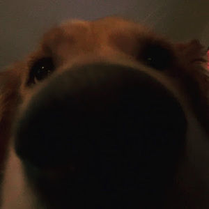 Meet your Posher, Isabella vincenza